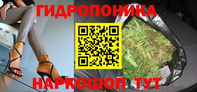гашишное масло Новодвинск