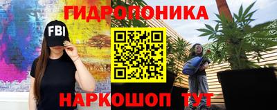 МДМА Новозыбков