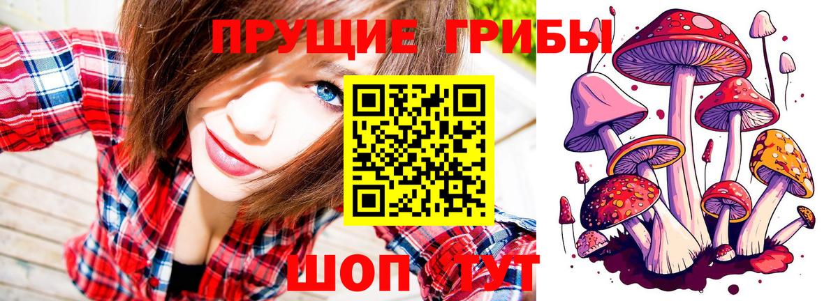 Галлюциногенные грибы ЛСД  Вход с VPN  Среднеуральск  Галлюциногенные грибы прущие грибы 