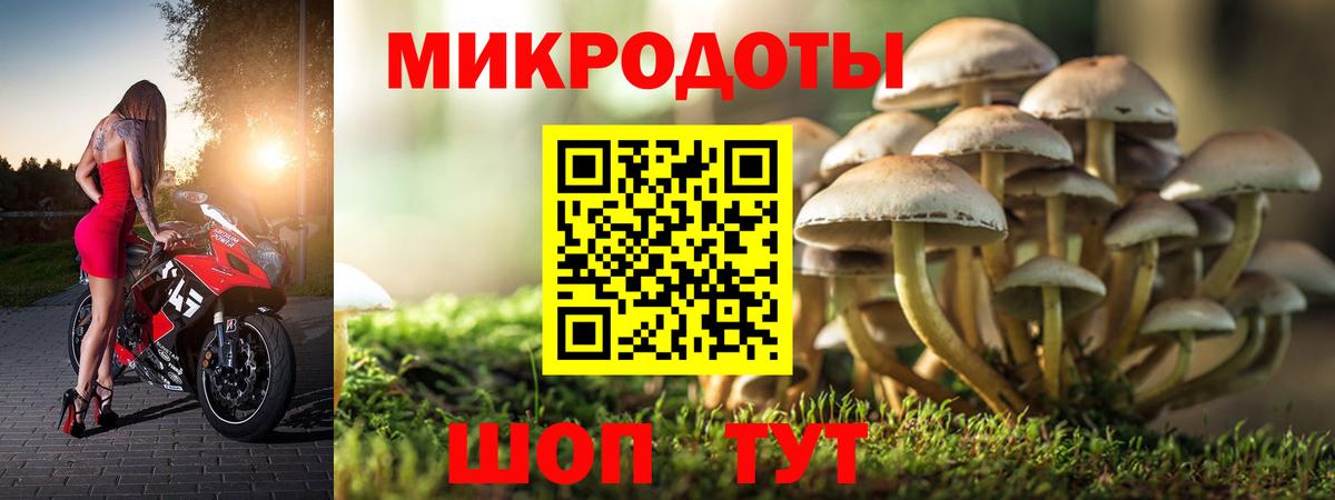 Галлюциногенные грибы Magic Shrooms Среднеуральск